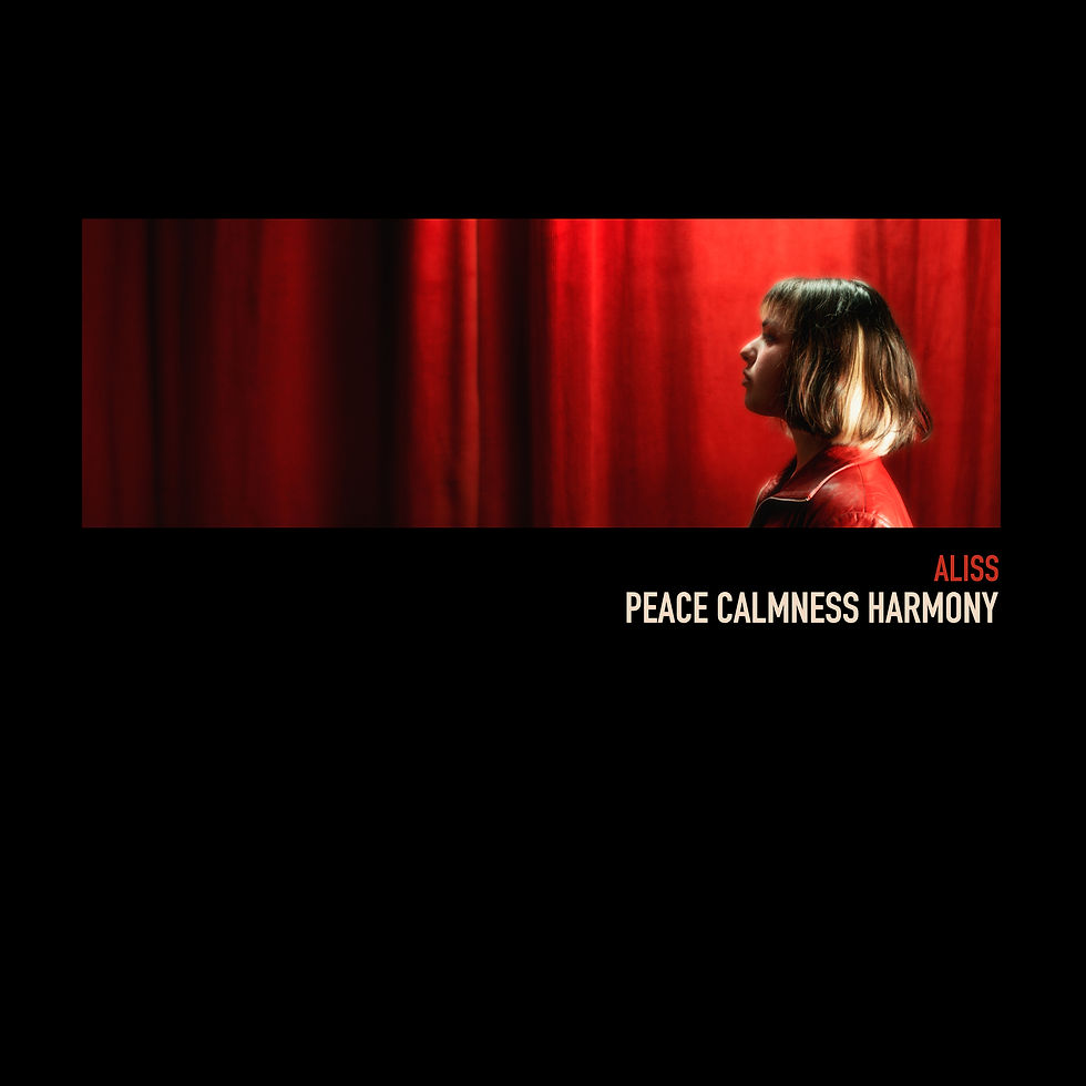 【New Release】Peace Calmness Harmony – The Seventh Track Marks the Album’s Midpoint