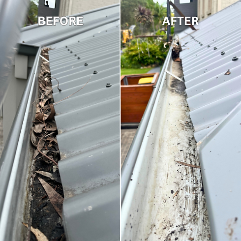 ANTLER JETTING AND POWER WASHING- gutter (1).png