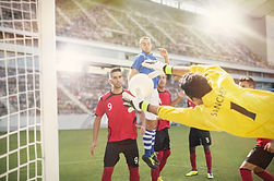 Sports padding | graphics | mats - Outfield Padding - Soccer