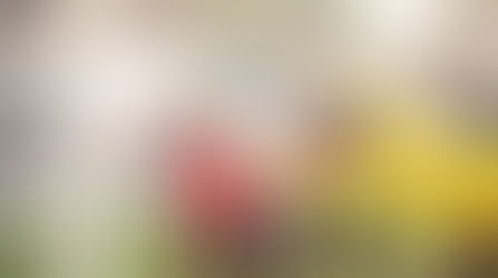 Banking Bigger When Betting on Sports