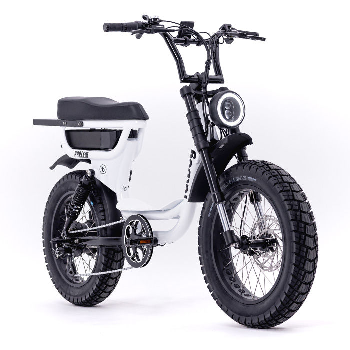 Thumbnail: Fatboy Bikes Harlem