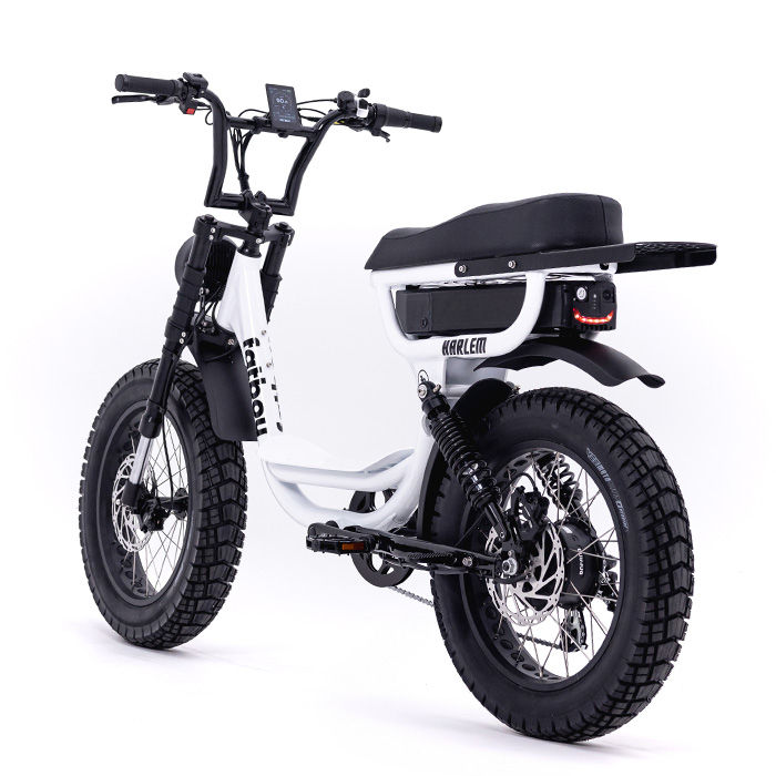 Thumbnail: Fatboy Bikes Harlem