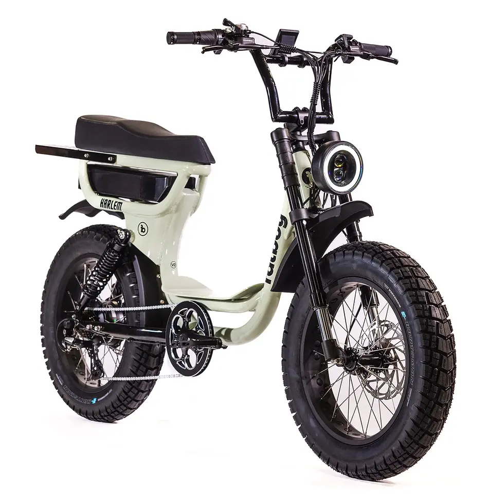 Thumbnail: Fatboy Bikes Harlem