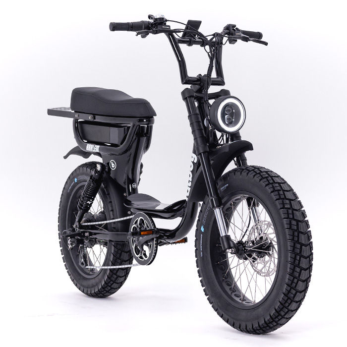Thumbnail: Fatboy Bikes Harlem