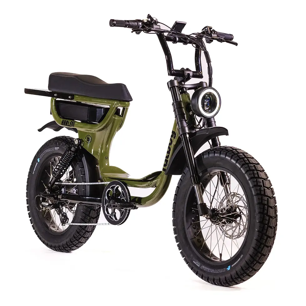 Thumbnail: Fatboy Bikes Harlem