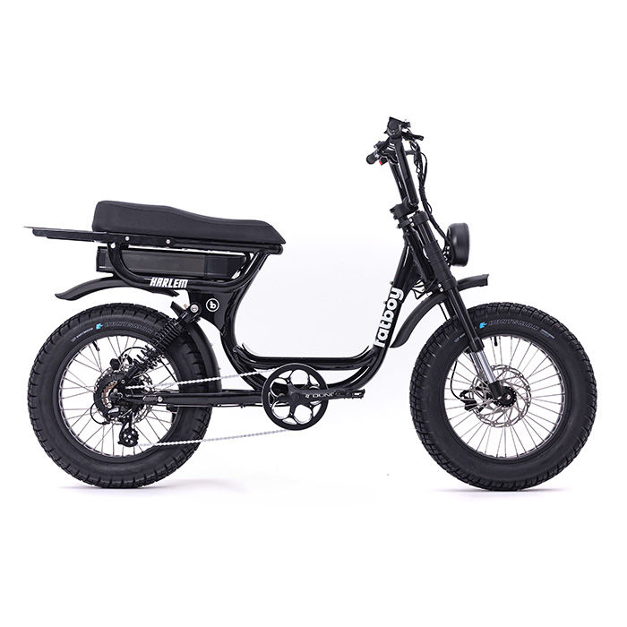 Thumbnail: Fatboy Bikes Harlem