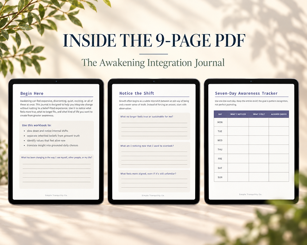 Inside The Awakening Integration Journal with three digital worksheet previews