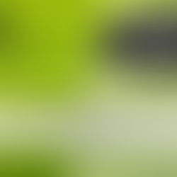 Wiederaufnahme des Sportbetriebs