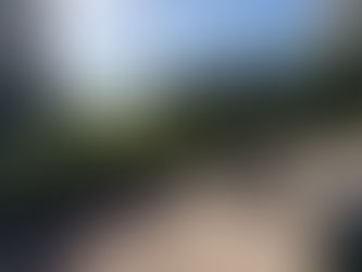 Hired as Corporate Event Musician on Marco Island