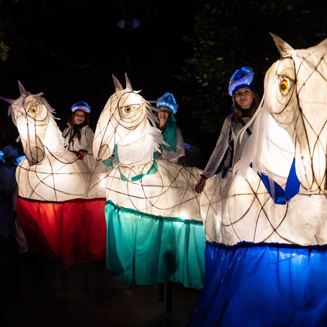9 horsies.jpeg