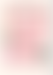 BAKE-A-RAE Christmas Pop Up