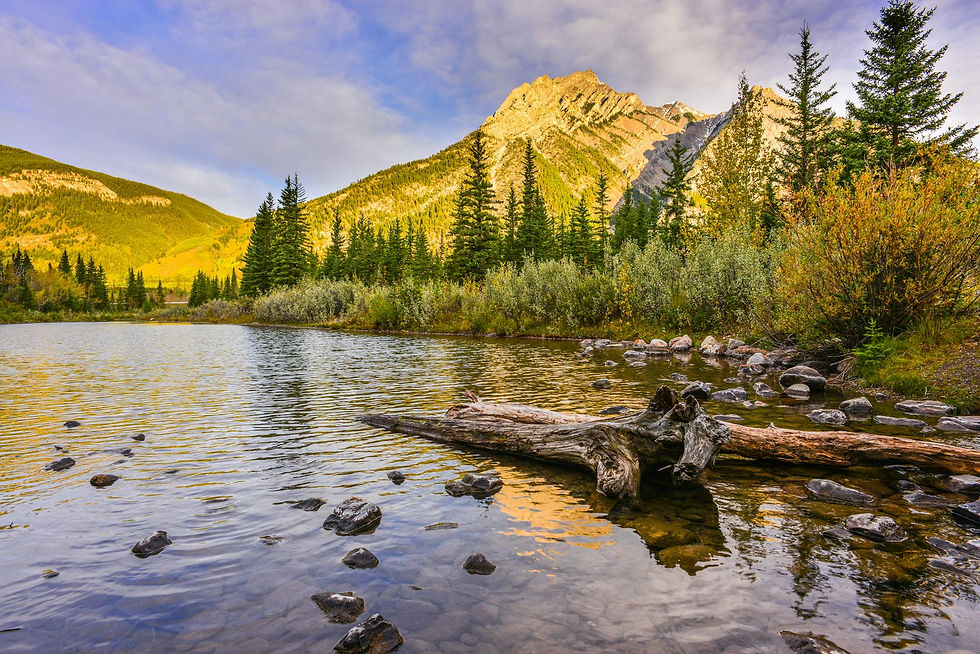 Serene river view at Keepers Of Turtle Island, Glenevis AB, surrounded by lush greenery.