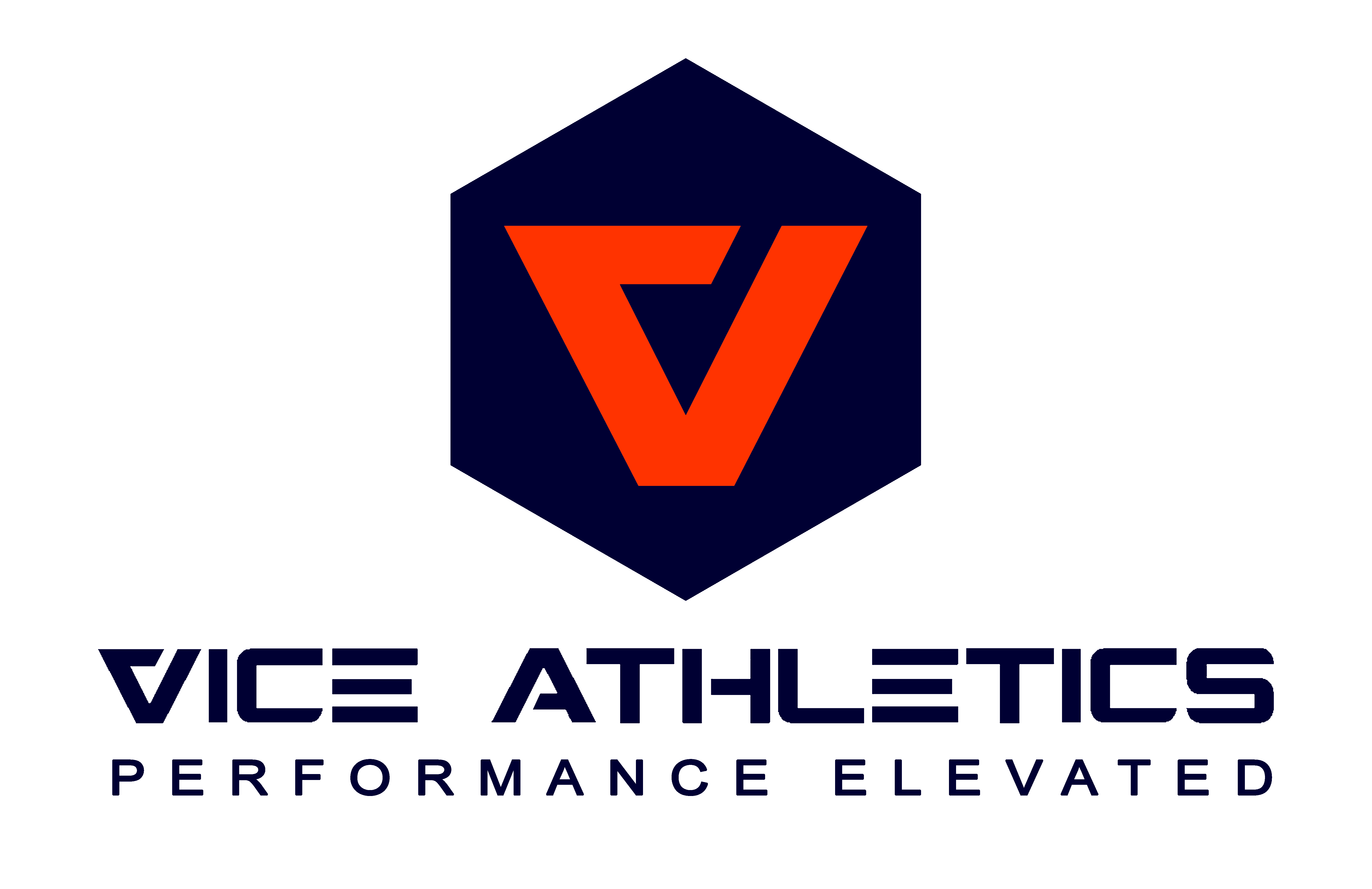 vicebanner3_copy (1).png