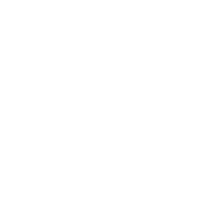 Roamira_Shield_Transparent white.png