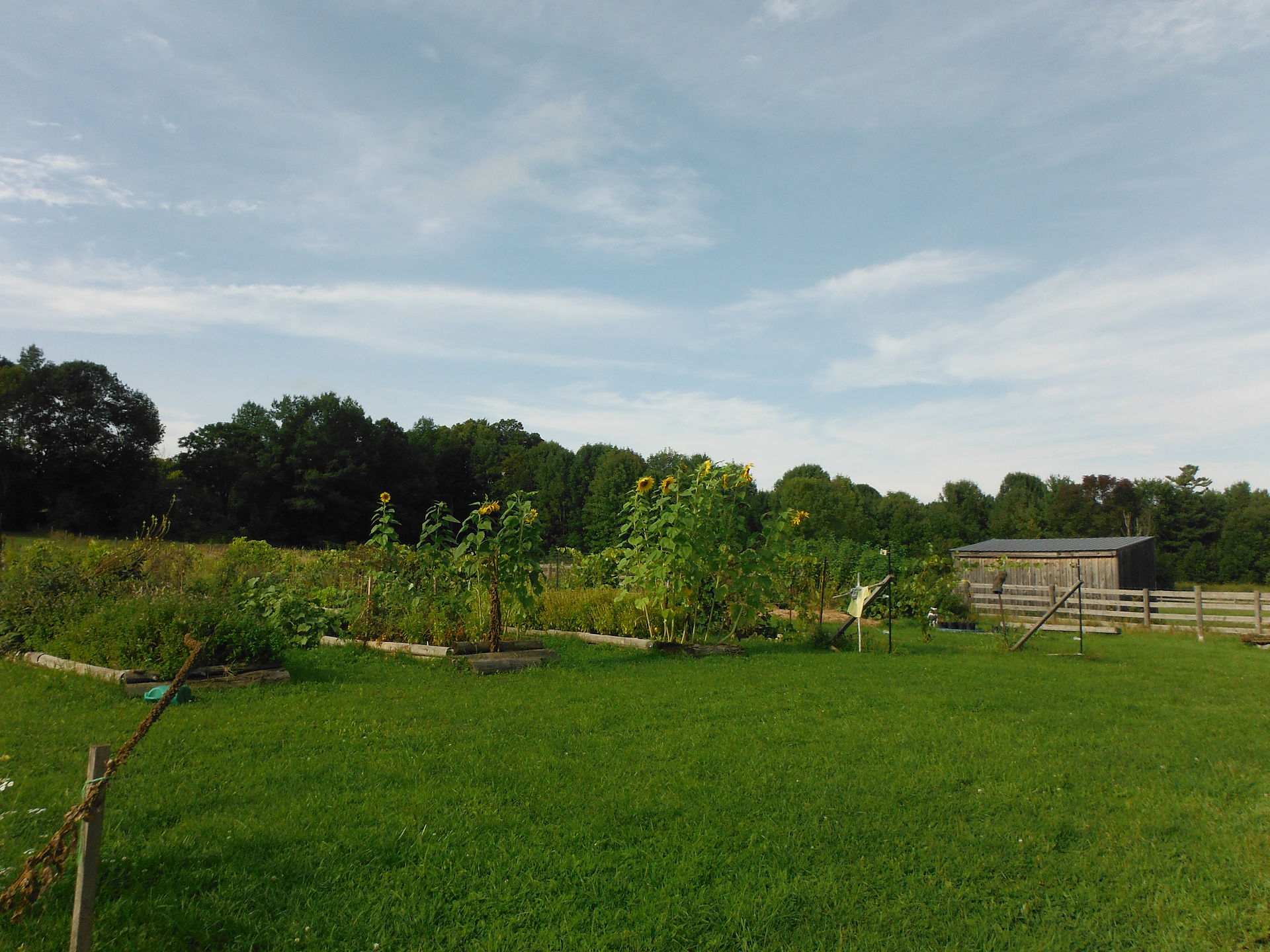 Earth Valley Organics - EVO