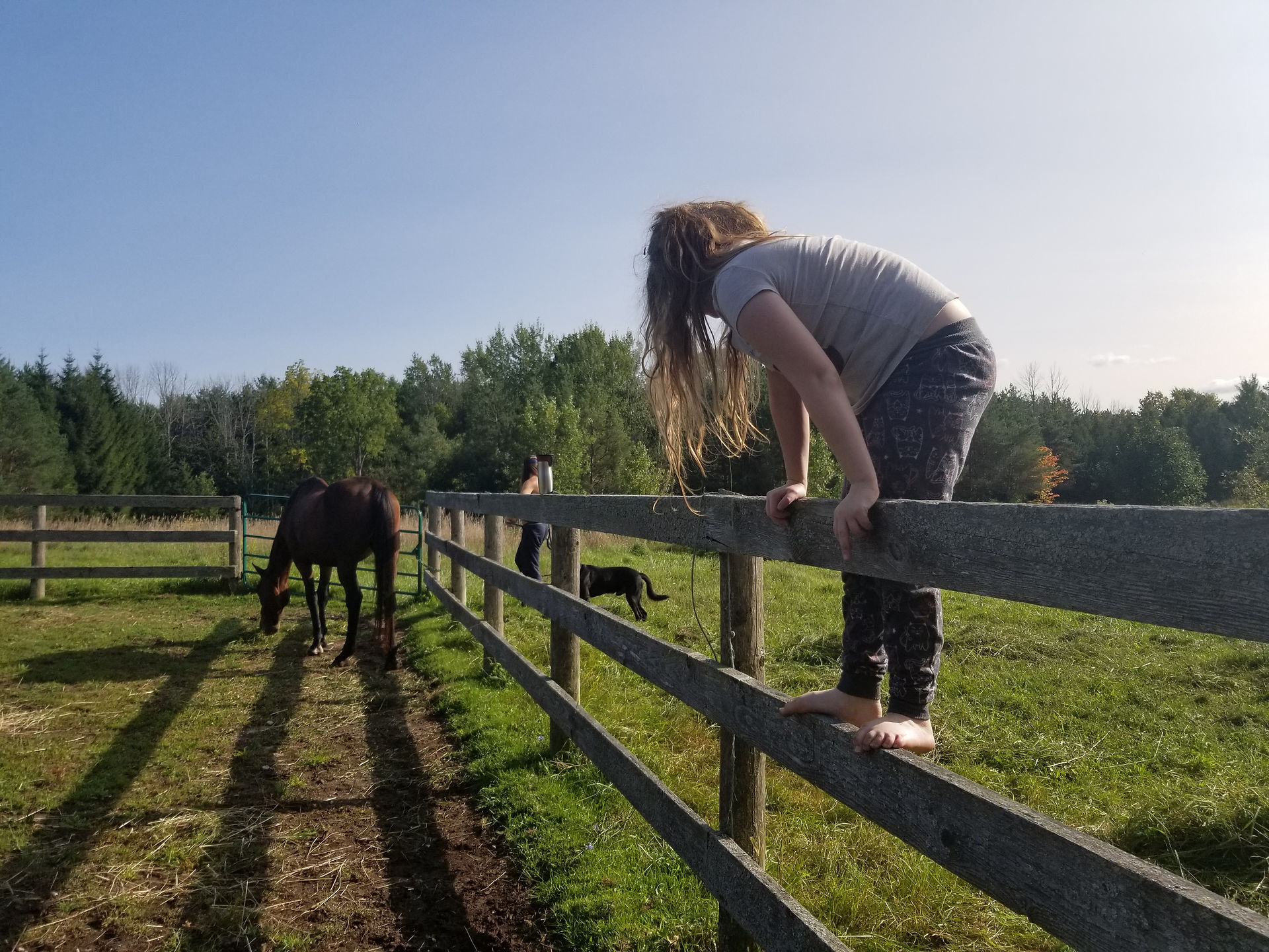 Family Barn Fun