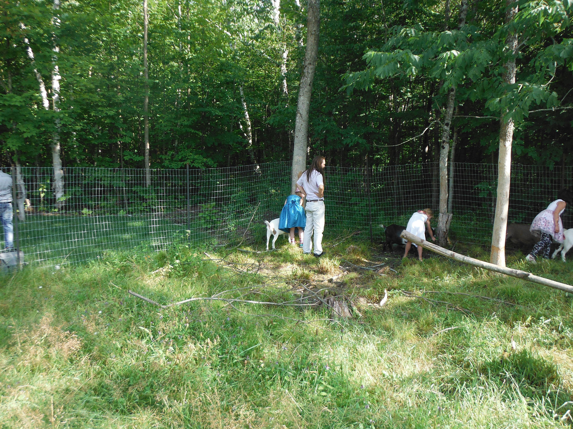 Visiting the Goats!
