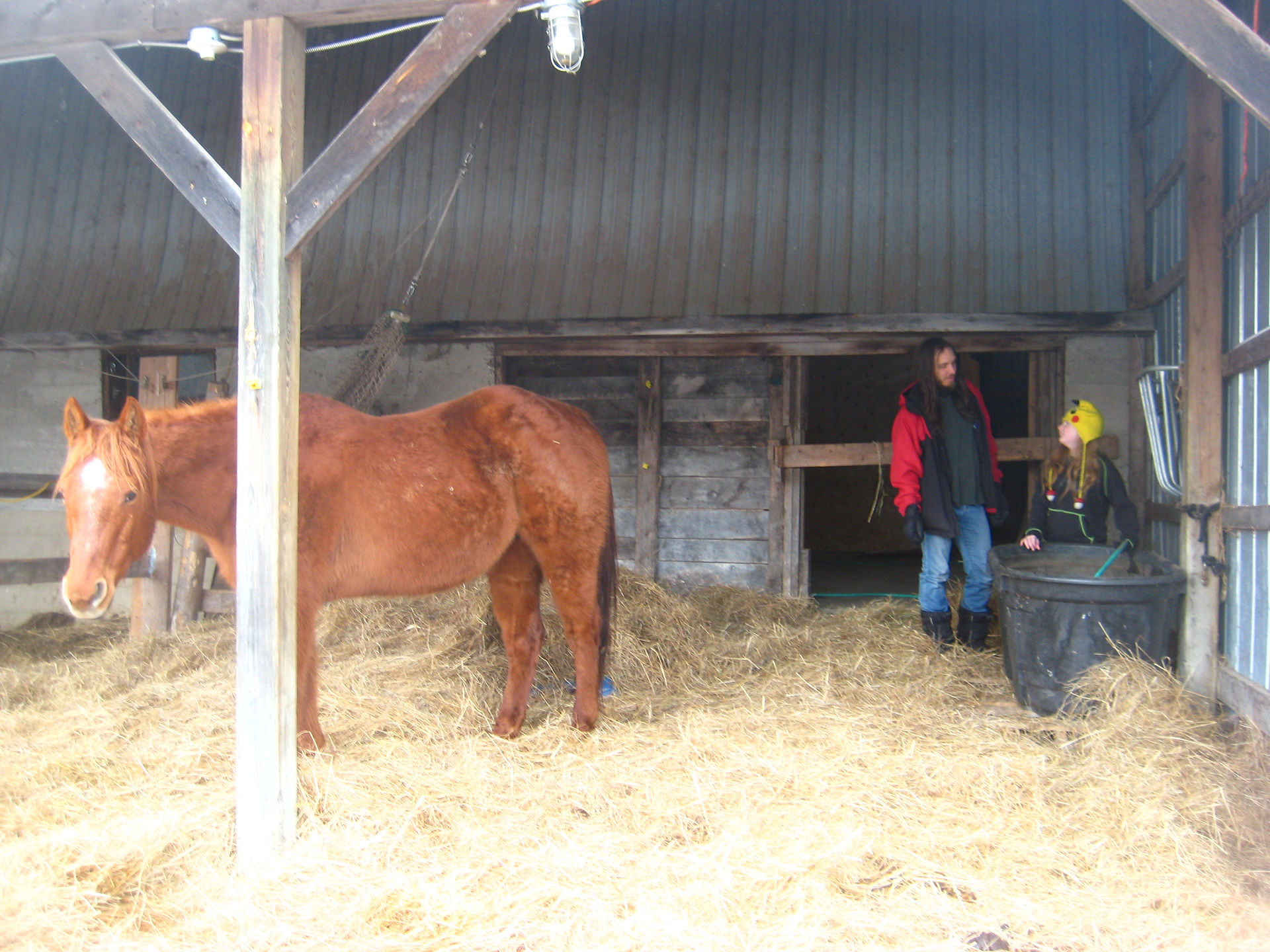 Barn Classroom