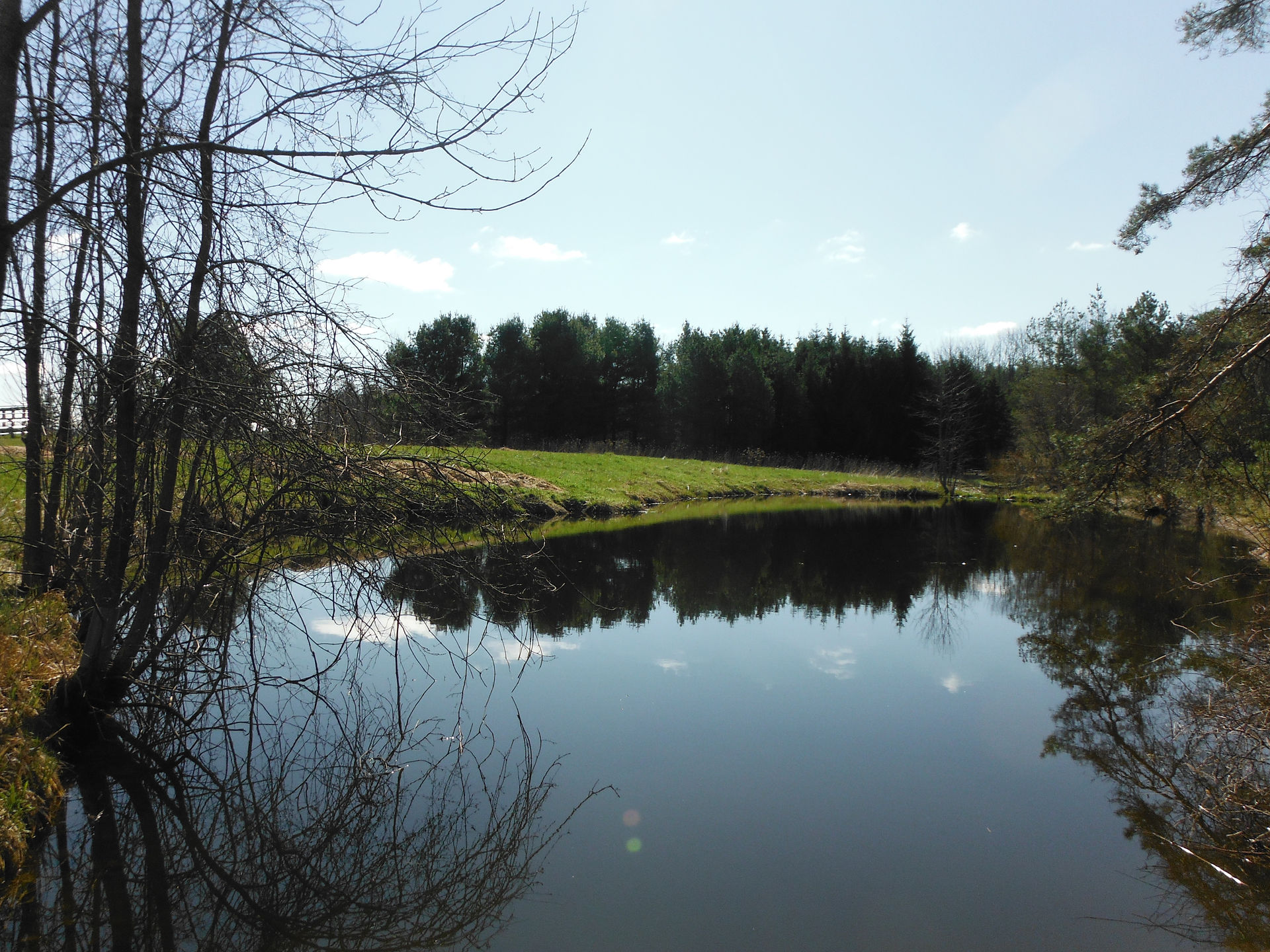 Our beautiful Pond