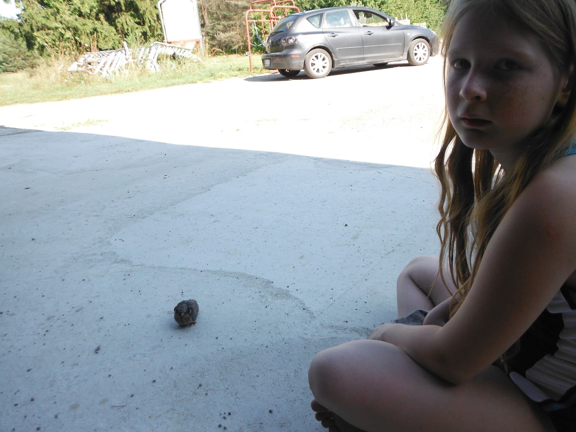 Found a Bird