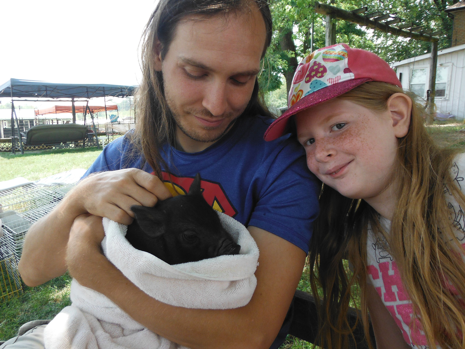 Socializing a Piglet