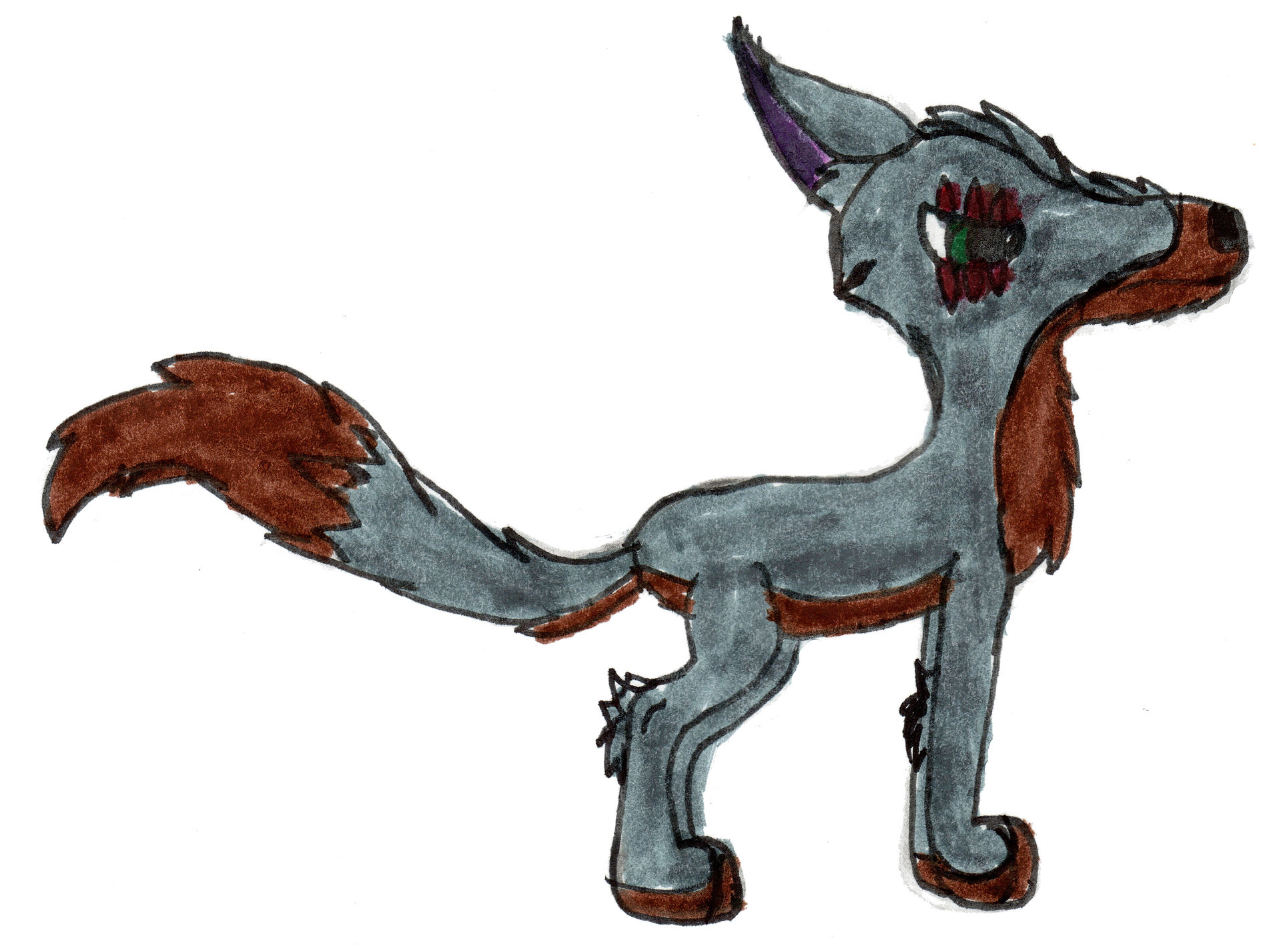 Wolf