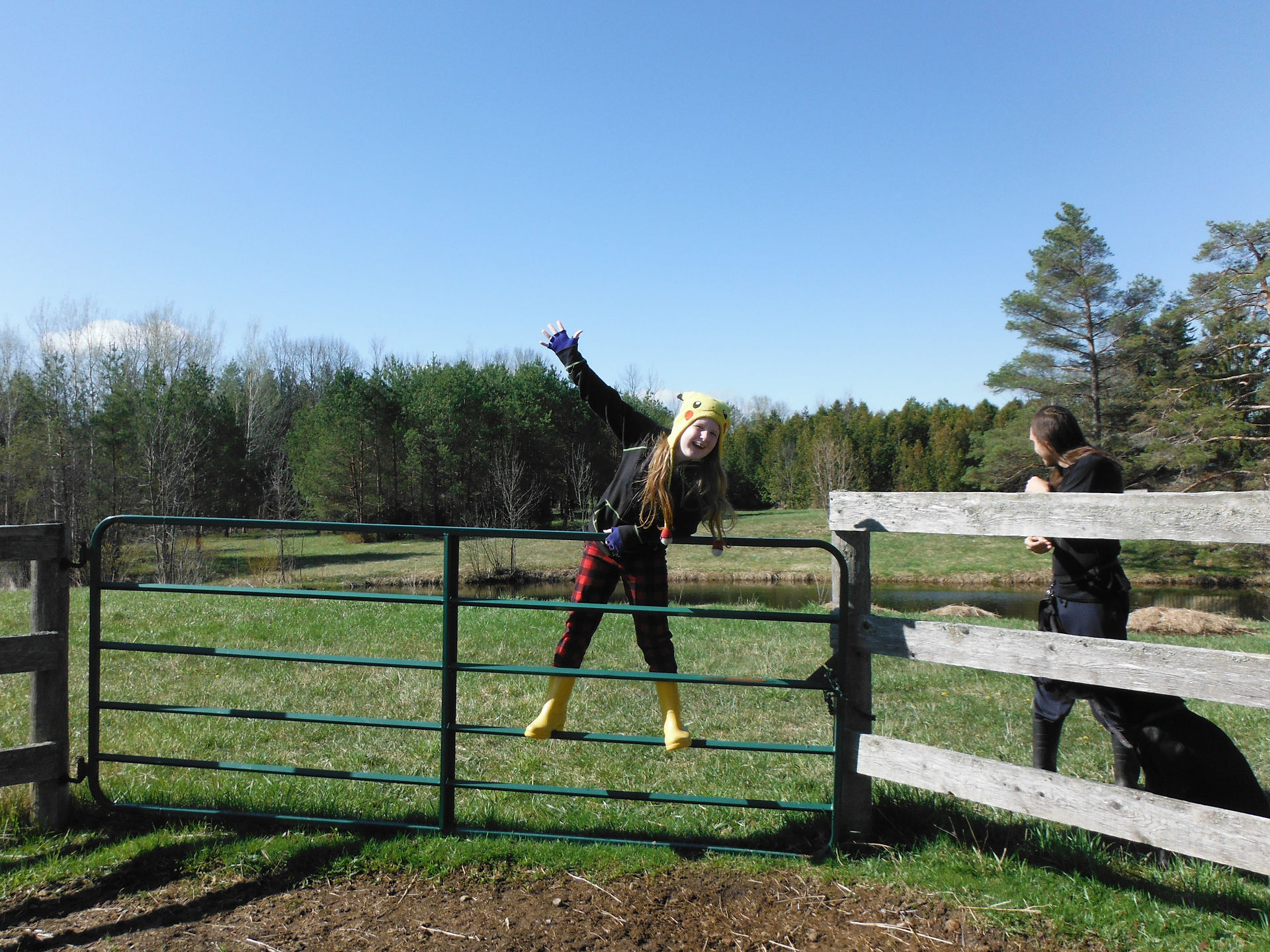 Hanging around at the barn