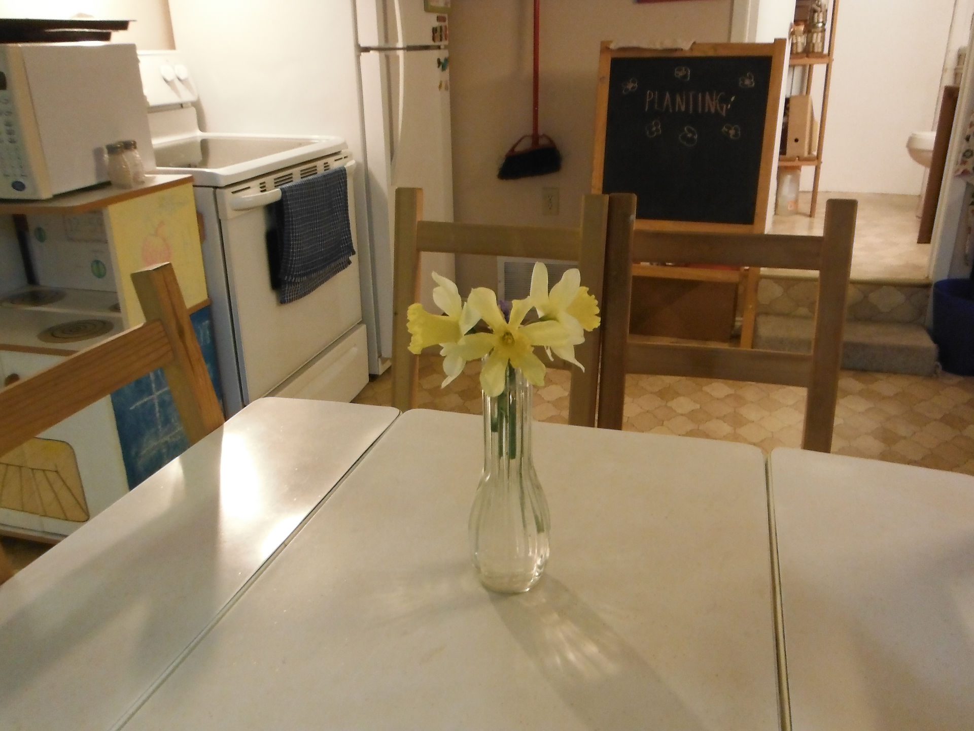 Daffodils from Hope