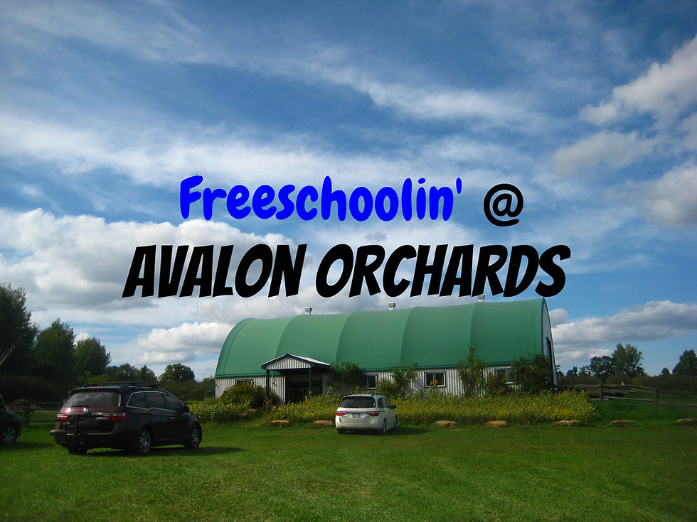 Freeschoolin' @ Avalon Orchards