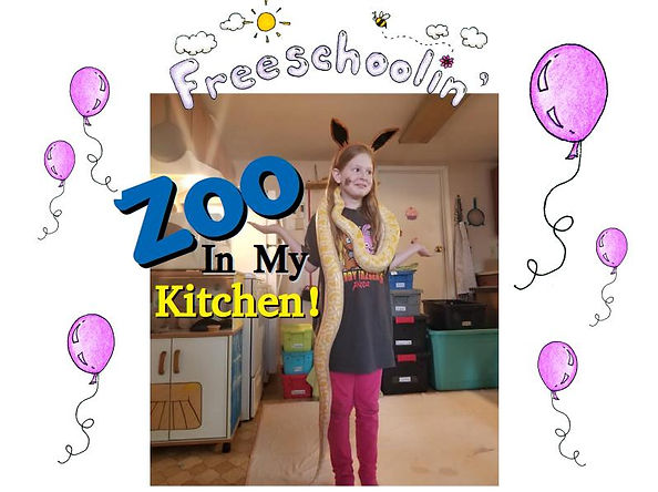 Zoo In My Kitchen Blog Article Title