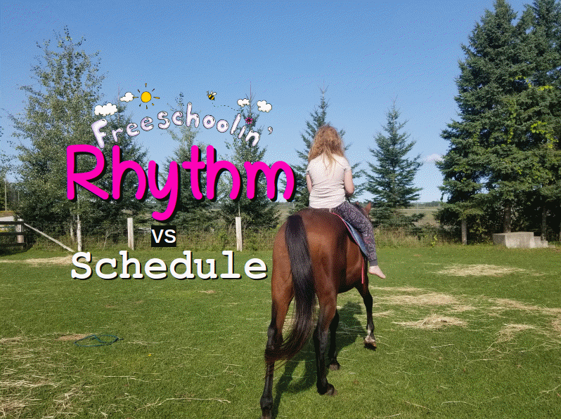 Rhythm Vs Schedule Blog Post Article Title Page