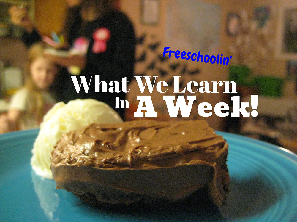 What We Learn In A Week
