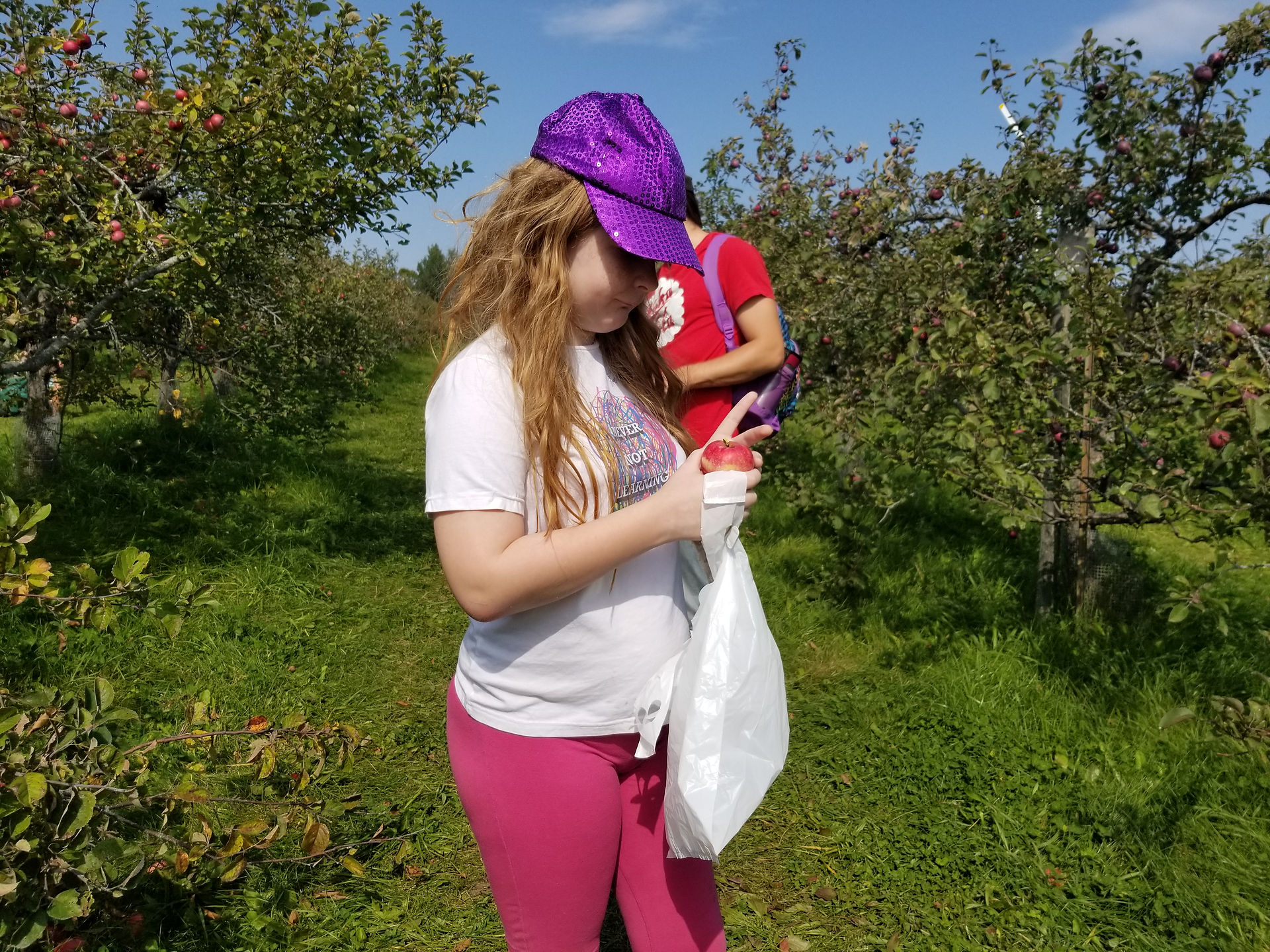 Shining up an organic apple to try.