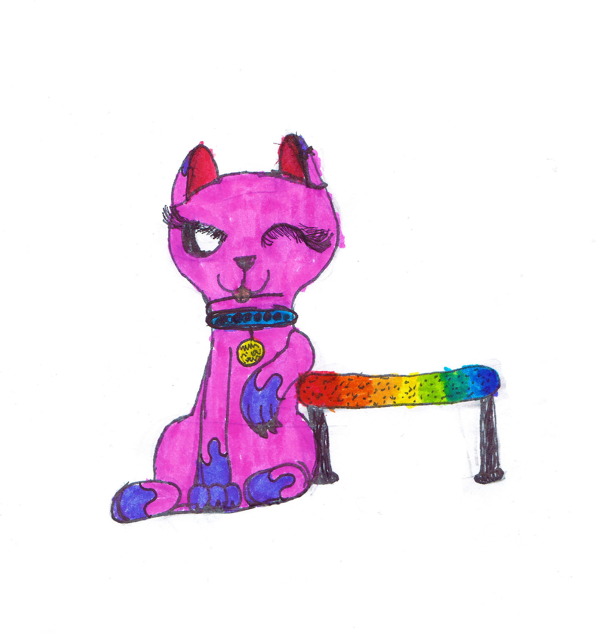 Cool Sass Cat