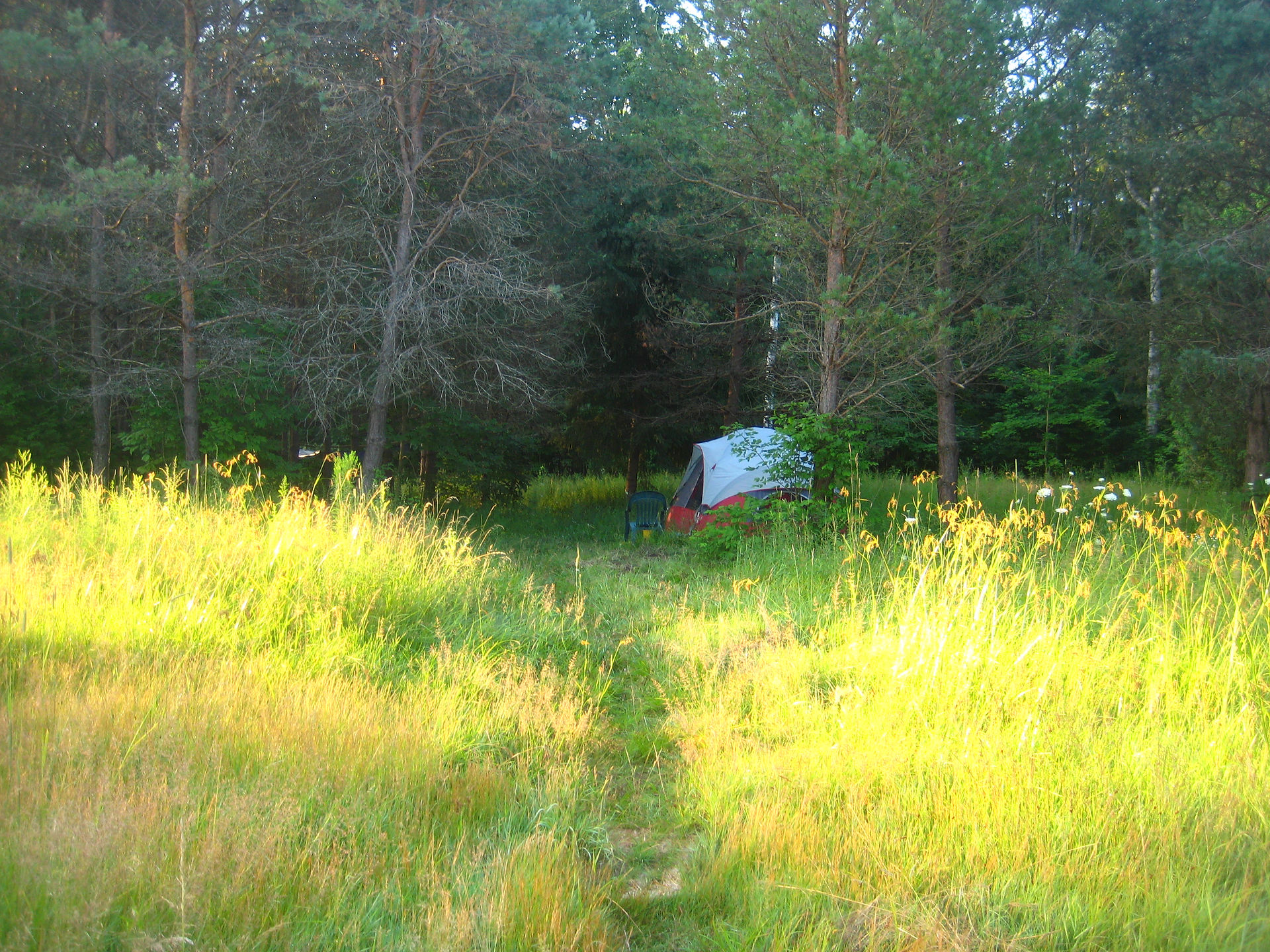 Our tent