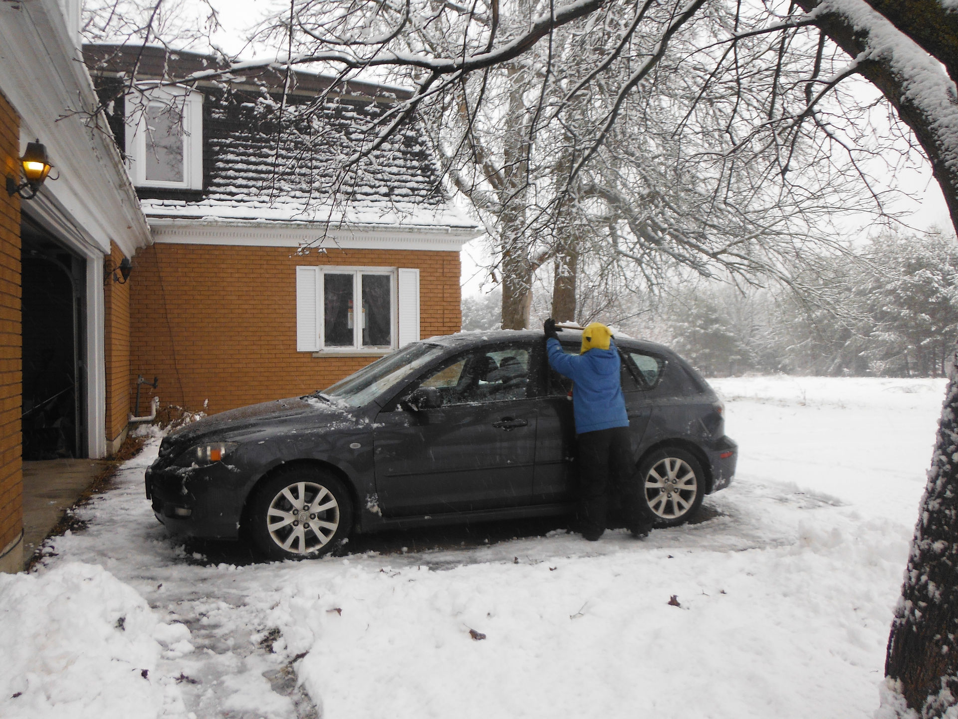 Learning to brush off the car.