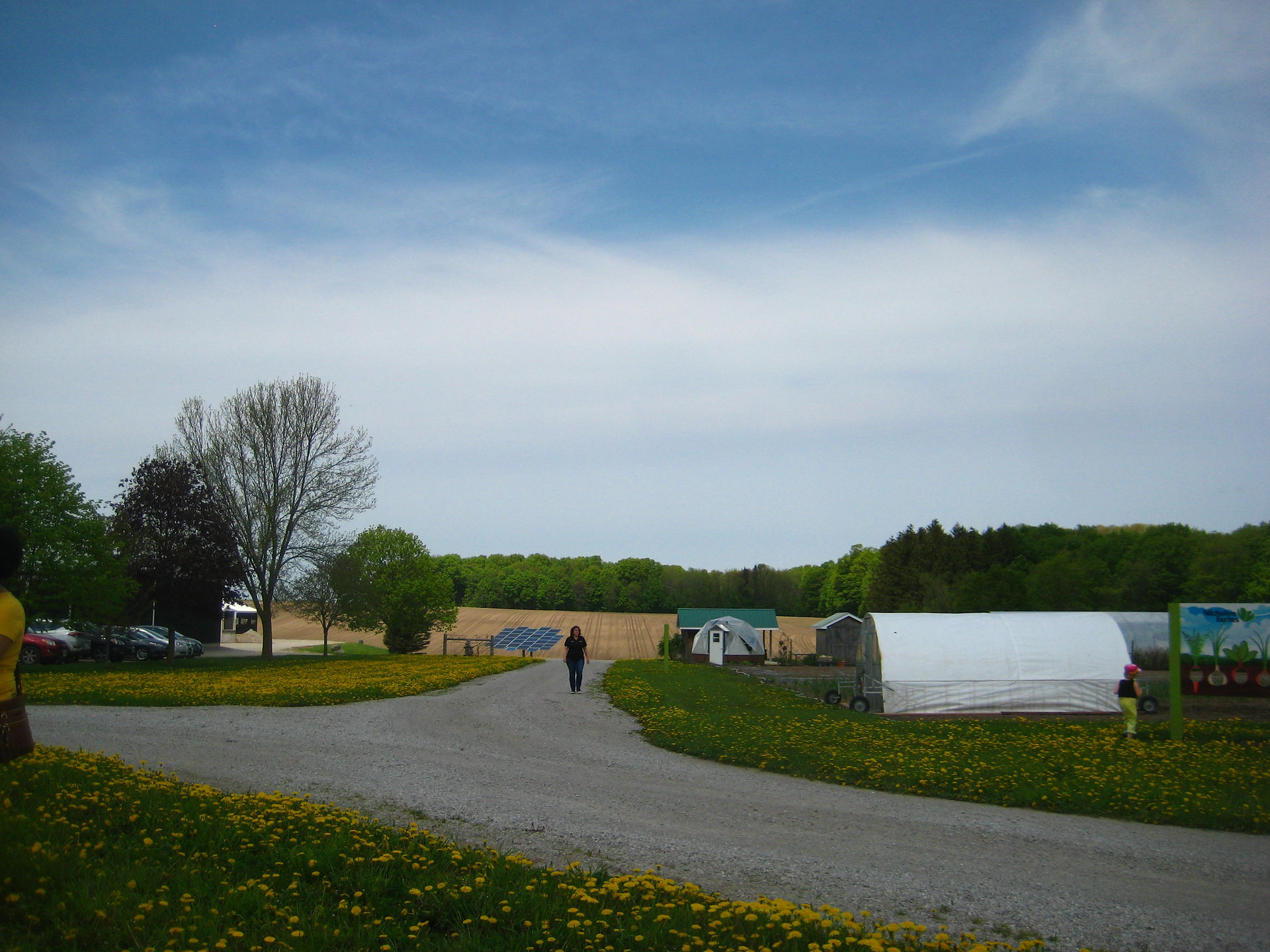 The White Chicken Tractor