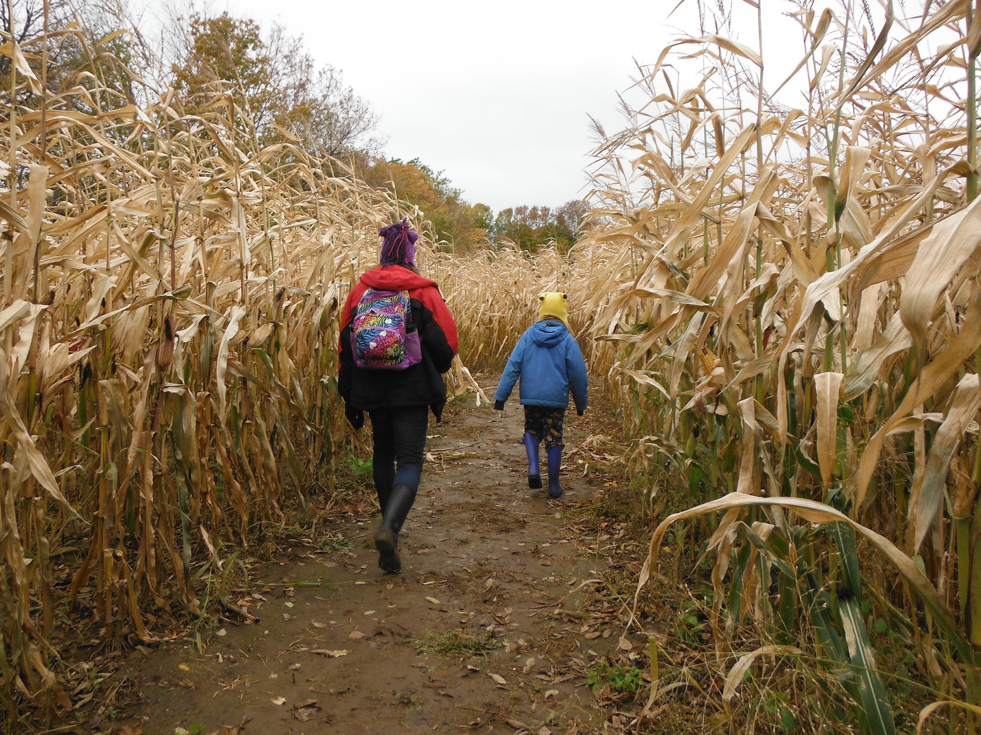 Finding Our Way