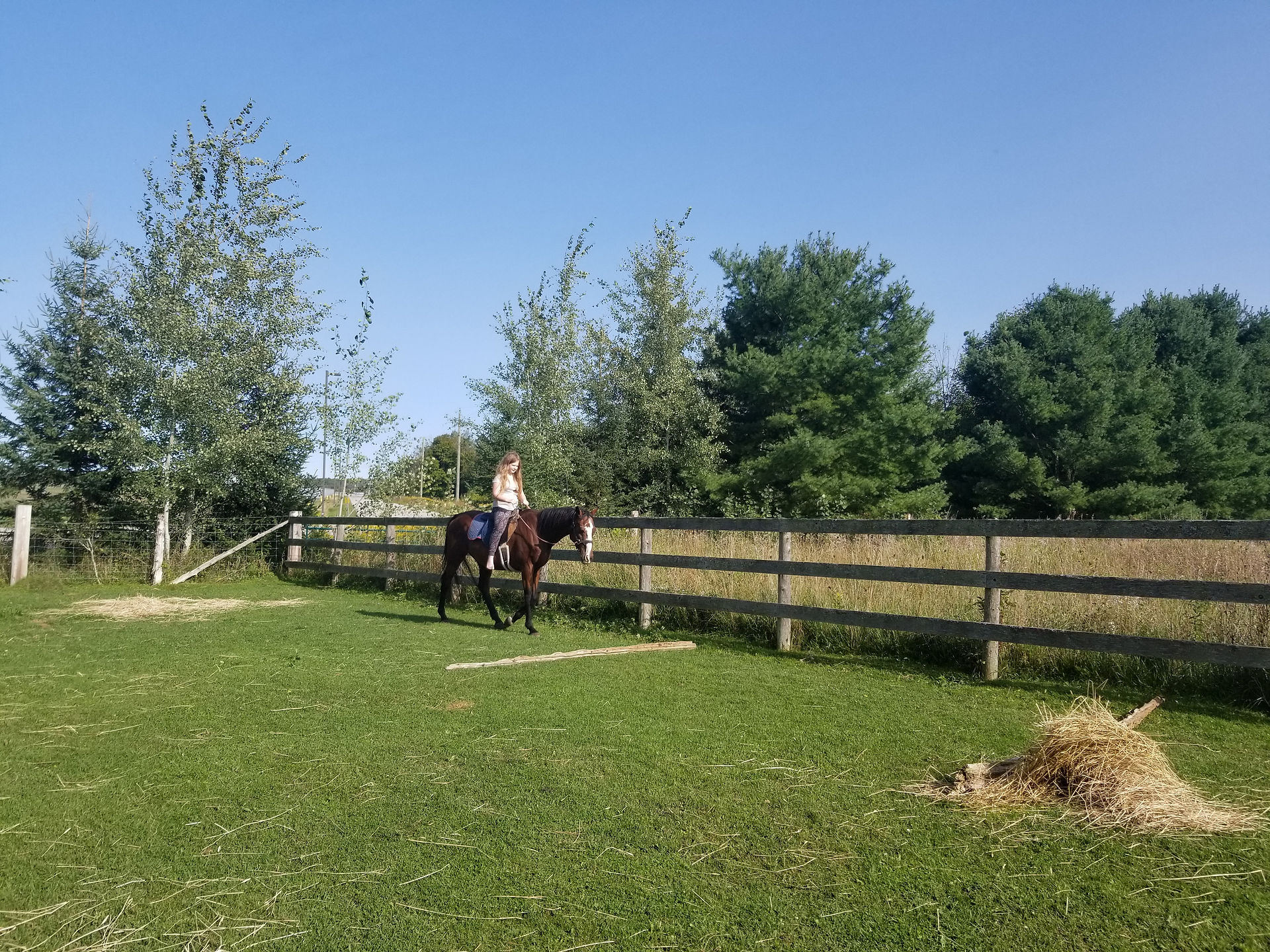 Riding River bitless, no irons.