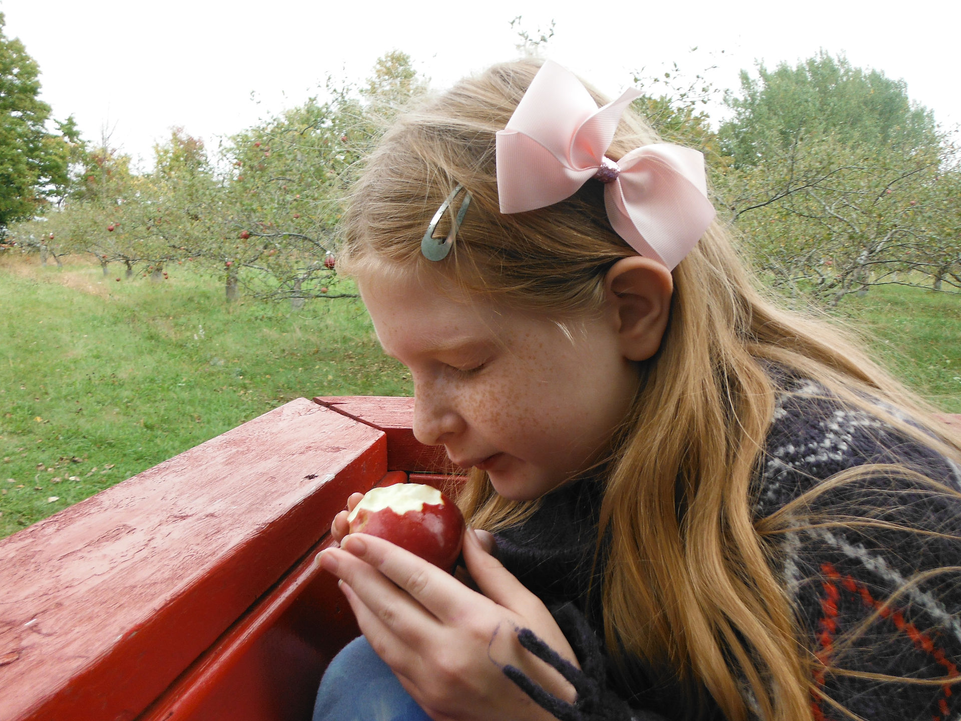 Enjoying an Organic Apple