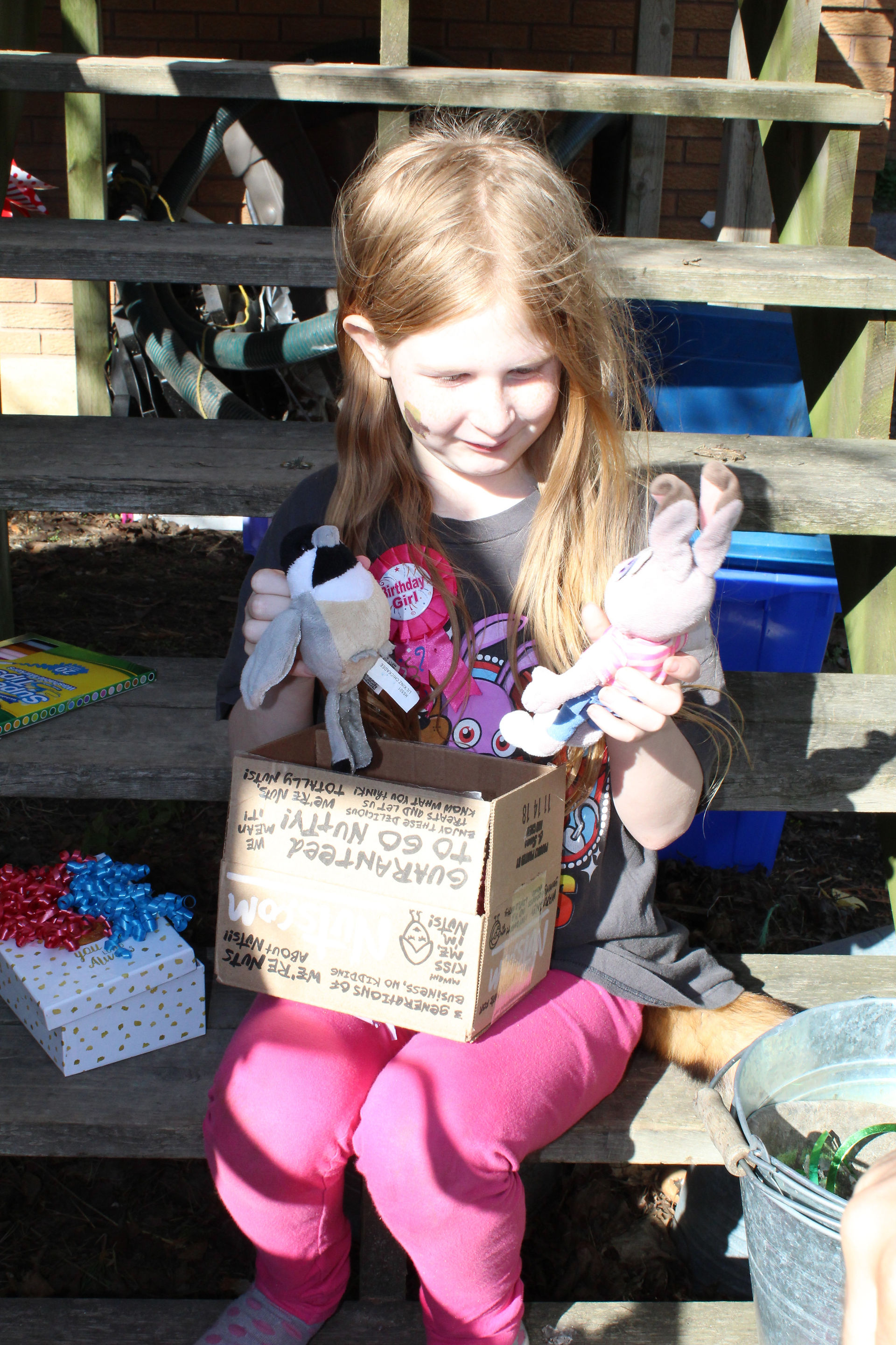 Hope's Favorite - Animal Stuffies!!