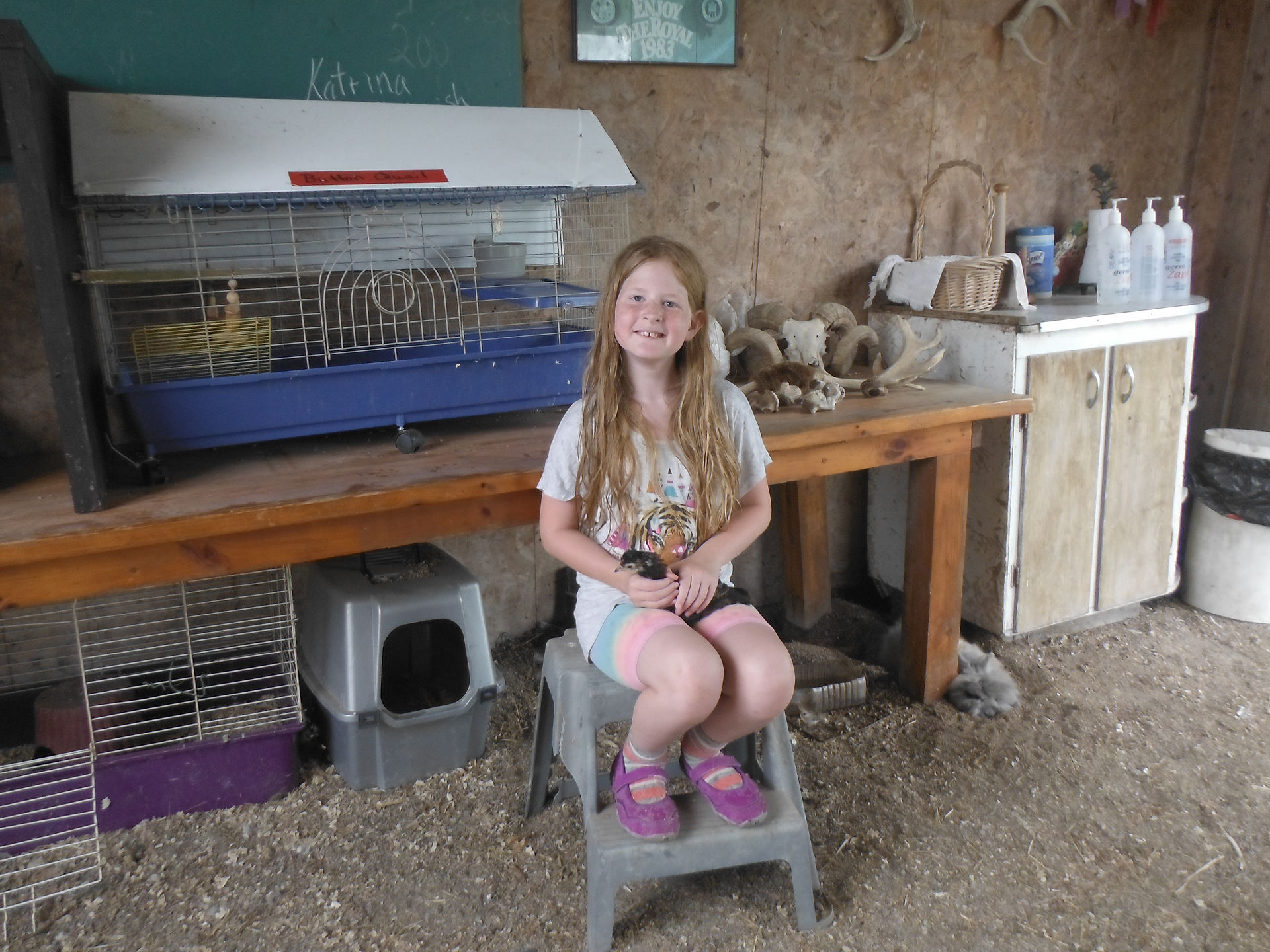 Holding a Teenage Chick