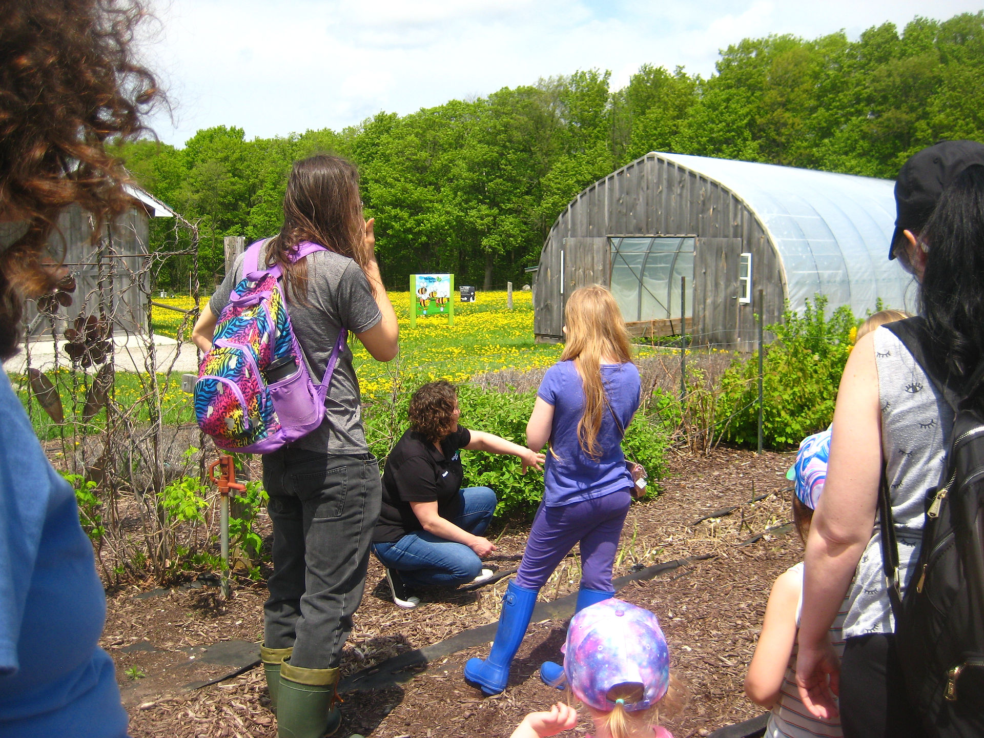 Learning How to Pick Asparagus