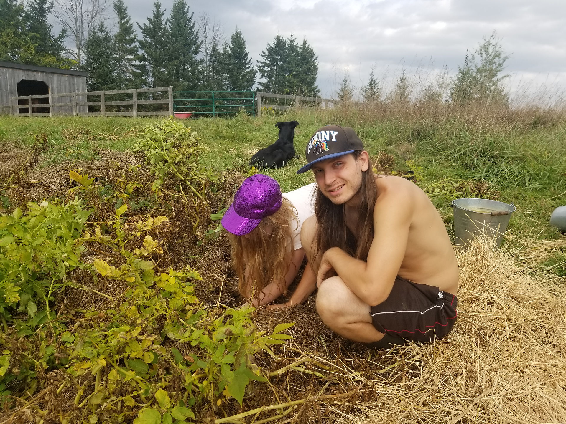 Harvest Time!