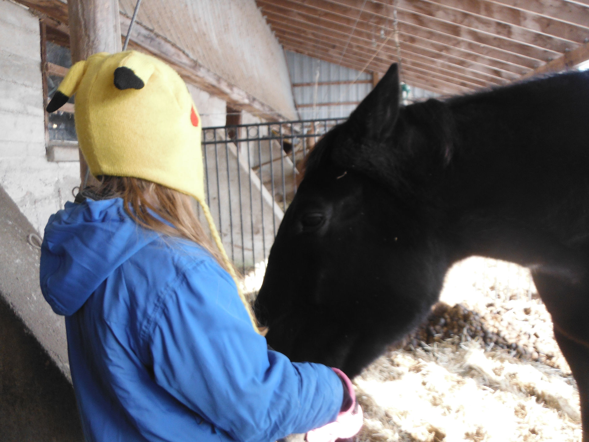 Feeding Billie