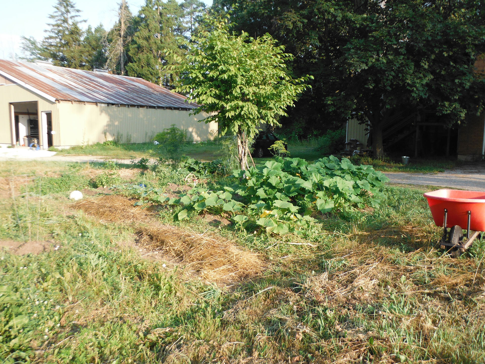 Our Front Garden