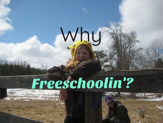 Why We Chose A Freeschoolin' Life