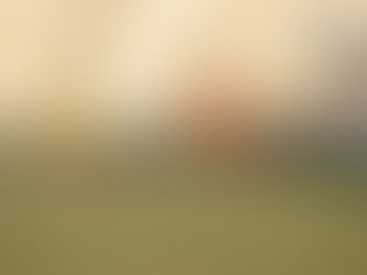 São Paulo Crystal se prepara para enfrentar o Confiança de Sapé