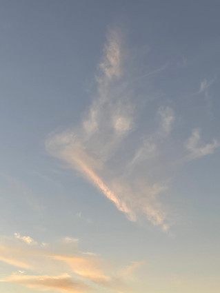 2020, COVERED BY GOD'S GREATNESS