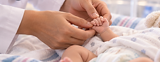 ChatGPT Image 7 sept 2026, 06_07_56 p.m. (3).png